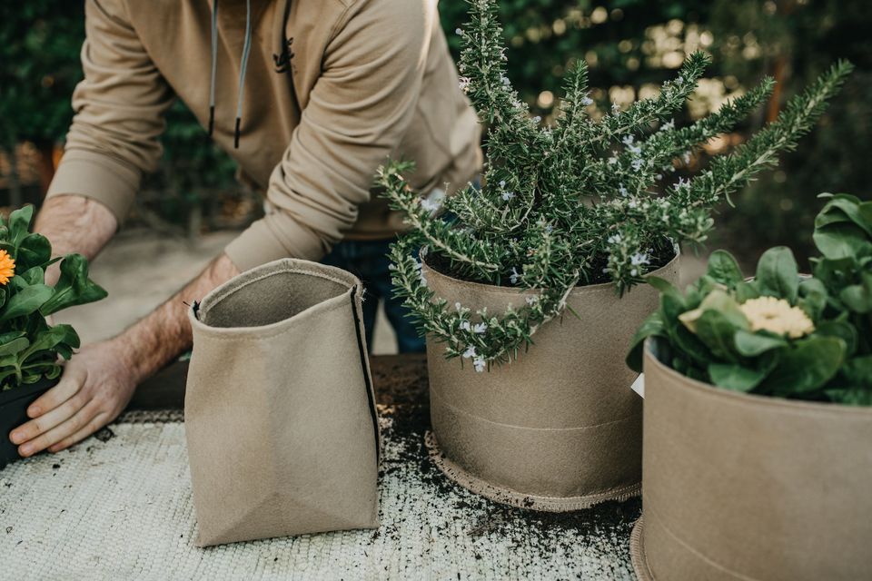 The Amazing Benefits of Fabric Pots, What You Need To Know - Green Genius