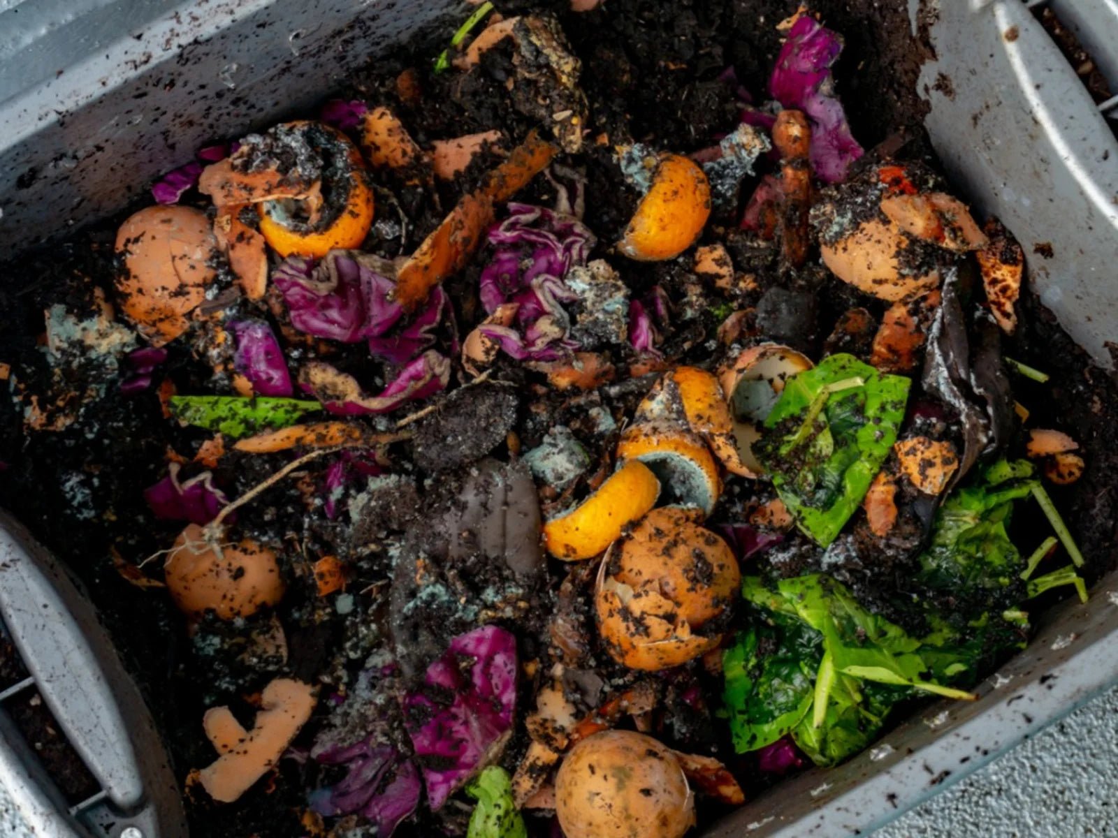 Composting - Green Genius