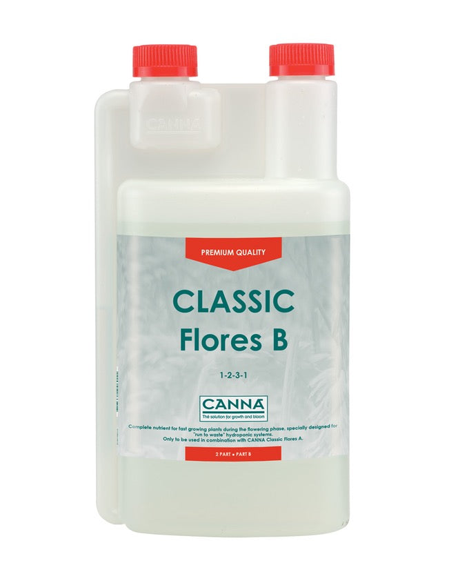 Canna Classic Flores B