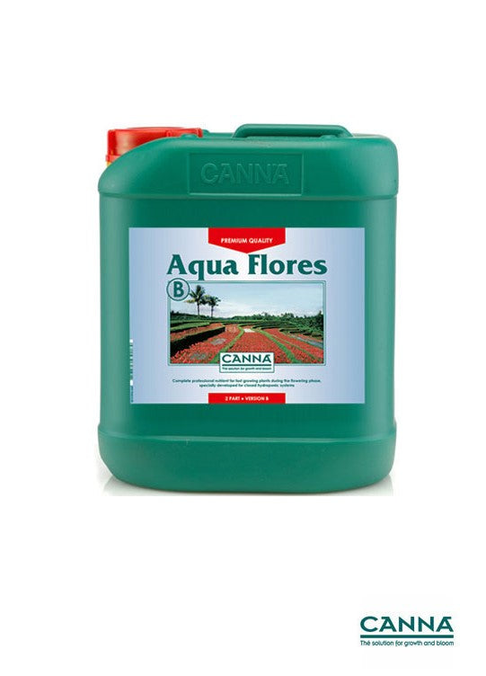 Canna Aqua Flores B