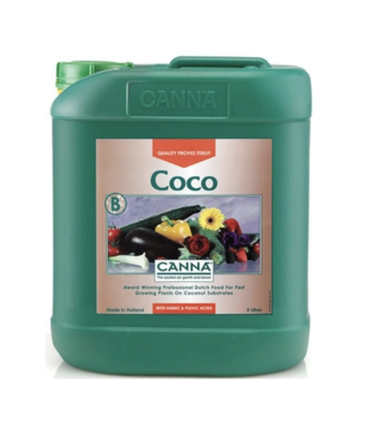 Canna Coco B