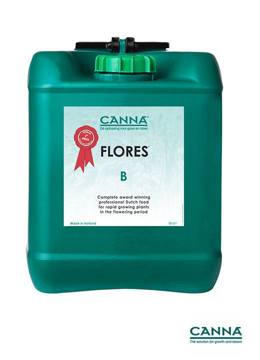 Canna Classic Flores B