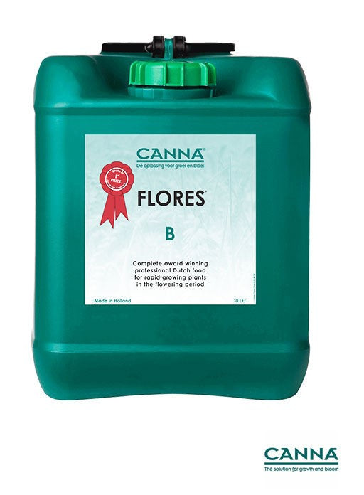 Canna Classic Flores B