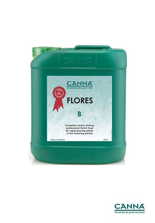 Canna Classic Flores B