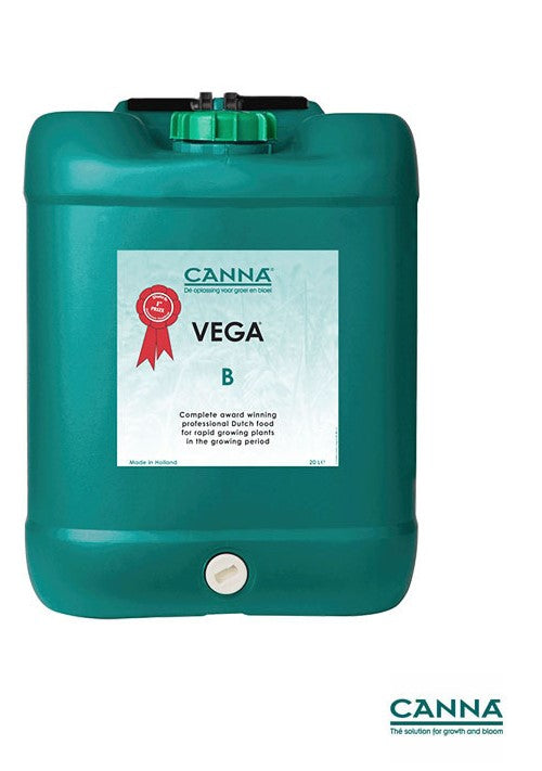 Canna Classic Vega B