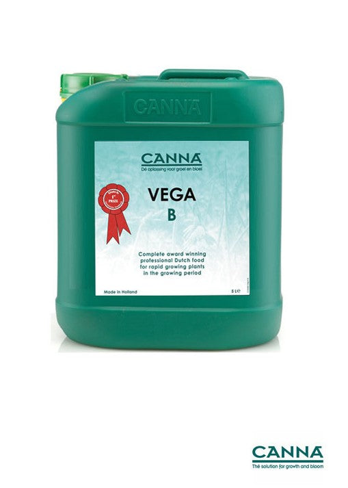 Canna Classic Vega B