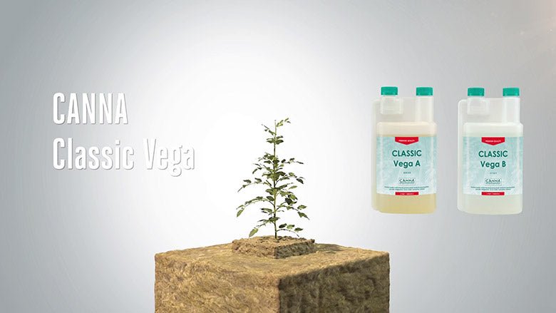 Canna Classic Vega A&B - Green Genius