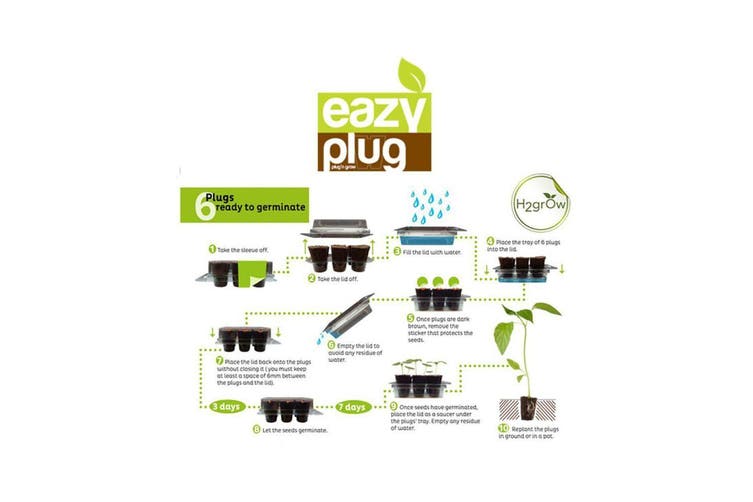 Eazy Plug Seed Sowing Kit - Green Genius