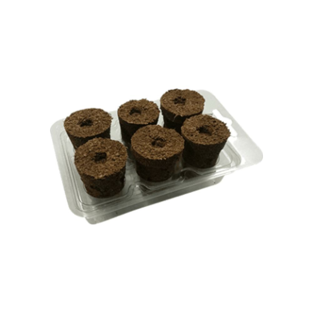 Eazy Plug Seed Sowing Kit - Green Genius