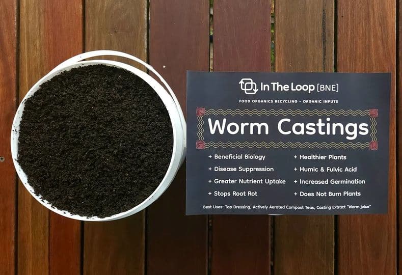 In The Loop Premium Worm Casting 10L - Green Genius