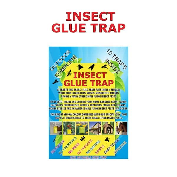 Insect Glue Traps – 10 pack - Green Genius