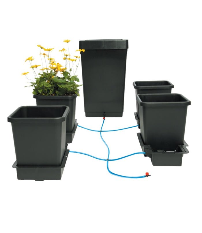 Nutrifield AutoFeed 4 Pot Autopot System - Green Genius