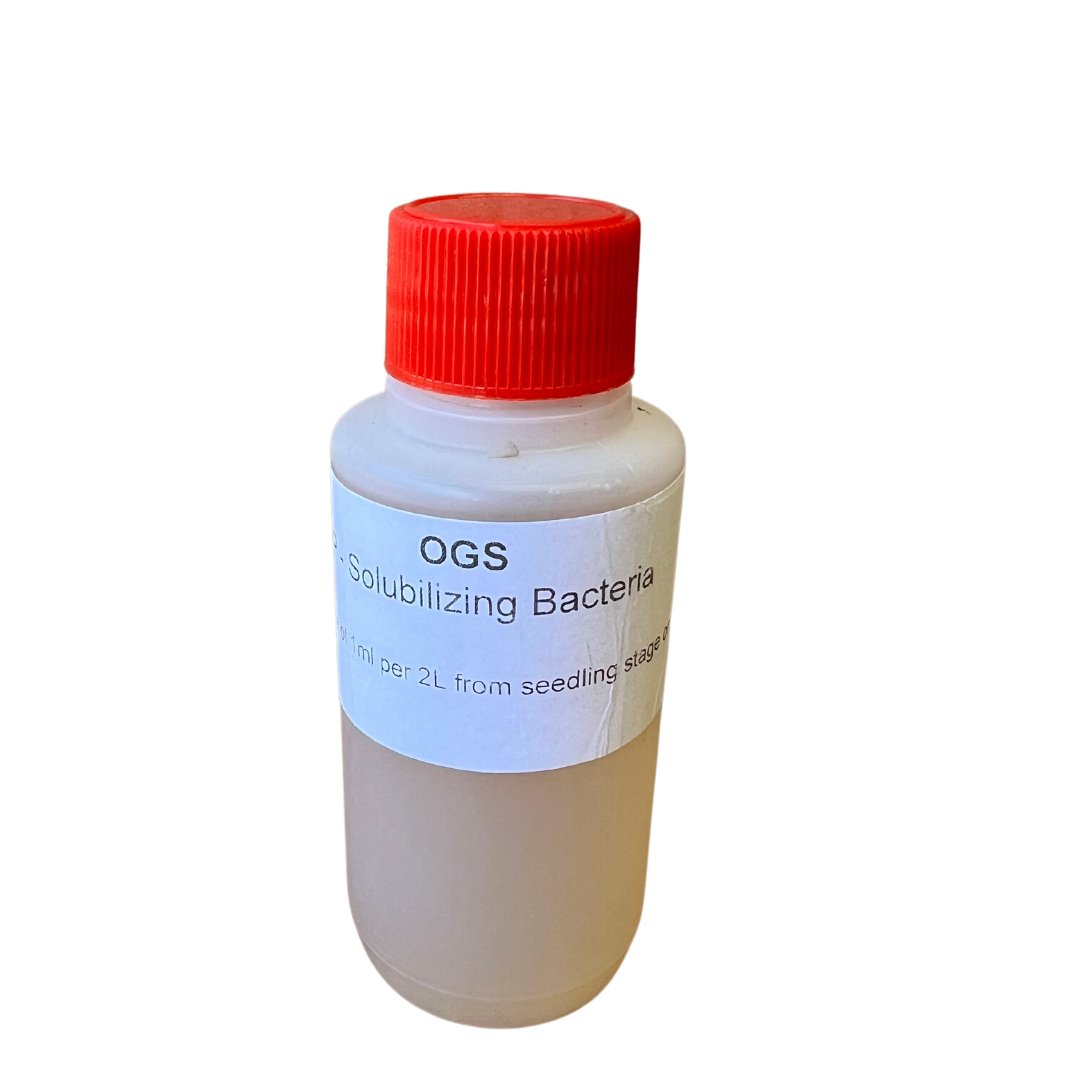 OGS P-Solubalizing Microbes 100ml - Green Genius